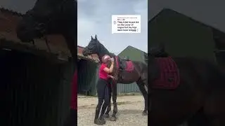 Biggest horse in the world 🤯 when I put my arms up I can barely touch his back!