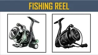 Best Fishing Reel in 2025  - Top 10 Best Fishing Reel 2025