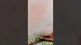 its so cute...