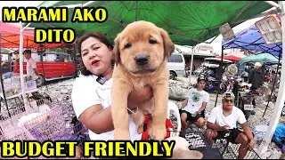 KAYA DINADAYO MURANG ALOK MARAMI DITO SA BOCAUE PET TIANGGE.