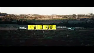 HONEY FROM THE FUTURE &ndash;&nbsp;Tesla Vision Contest
