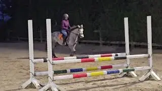D pony 