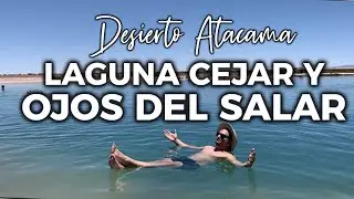 LAGUNA CEJAR y OJOS del SALAR | Desierto de ATACAMA 3 🔥✈️