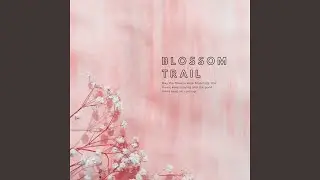 Blossom Trail