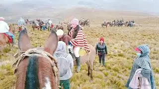 FIESTA DE 3 CRUCES  Achupallas