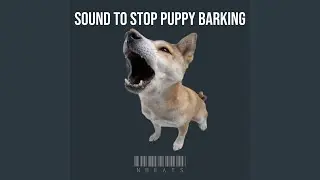 Sound to Stop Puppy Barking