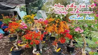Hoa giấy giá rẻ ghép nhiều màu chào bán bao ship..04/02😘📲 0939.885.905.Thu-Cúc 