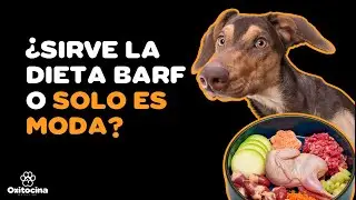 VENTAJAS Y DESVENTAJAS DE LA DIETA NATURAL (BARF) EN PERROS