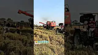 forman compare tractor