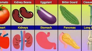 Vegetables That Looks Like Human Body Parts