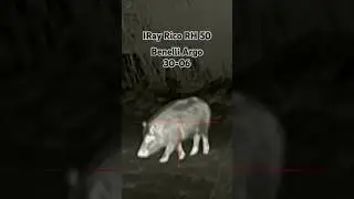 Бенелли Арго 30-06 + iRay Rico RH 50