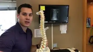 Do you have a disc bulge? Herniation? Sciatica? Arm pain? Dr. Dillon Remmick with HealthSource Chir
