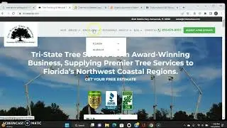 Allen's Tree Service Navarre, FL