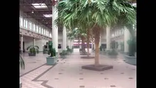 Random 80s music playing in a empty dead mall but it feels like a dream