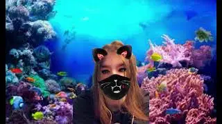 Raven Coal - Raven