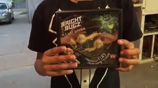 Bright bugz Review