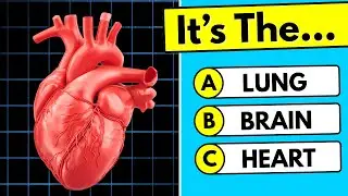 Are You Among The TOP 1% of Human Body Experts