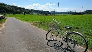 夏の田舎の風景