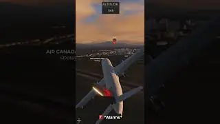 Pilot Attempts Steep Approach To Punta Cana Airport! #flightsimulator #aviation #pilot #roblox