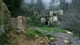 Green China Rising Promo