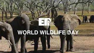EPI World Wildlife Day 2025