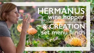 Wine hopping in HERMANUS!