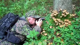 Bialowieza National Park 2 - Poland