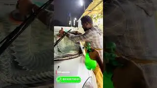 Windshield cleaning service