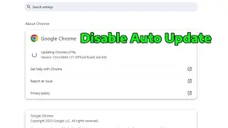 How To Disable Auto Update in Google Chrome