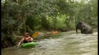 Kayaking with elephants - Mae Wang River  in Jackson Karma