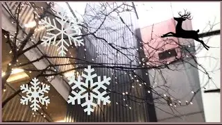 Mona Vlogs: Vlogmas, day 24 CHRISTMAS EVE