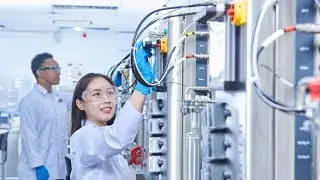 Unlocking the Secrets of Pharmaceutical Engineering - From Concept to Cure (3 Minutes)