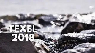 TEXEL 2018 -On&On- //#highlights 16