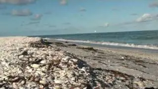 Shell Point Key Camera on a mound of Shells