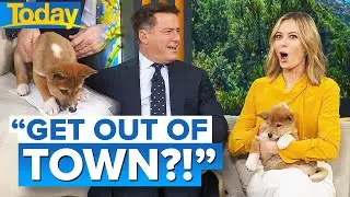Karl and Ally discover massive coincidence with first dog names | Today Show Australia
