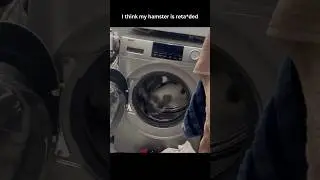 If you laugh, you restart pt 1305 | #memes