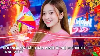 Ước Nguyện Đầu Xuân Remix Út Nhị ~ Một Rừng Hoa Mai Nở Một Bầy Chim Én Đưa Tin Remix Hot Tiktok