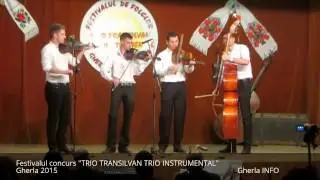 Trio Transilvan Trio Instrumental Gherla 2015 (Cluj)