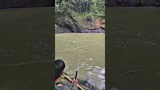 NUTUL NILEM DI KEDALAMAN 4METER UP❗️❗️❗️ #tekniknutul #mancing #nutulnilem  #nutules