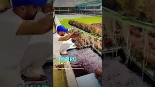 Farming Business in India | Different Types of Farming Techniques