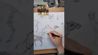 quick master study of a dromedar camel in graphite, ink pen and marker 🐪*by weatherly #animalart