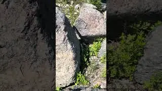 Pudding Stone. One Of A Kind Decorative Boulders