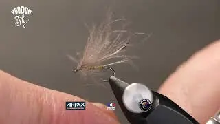 BWO aux ailes séparées