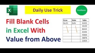 Fill Blank Cells in Excel With Value from Above |fill blank cells in Excel with the info above them?