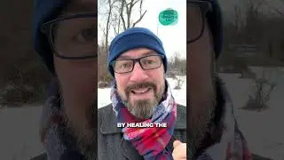FIX Your Brain Fog by Healing Your Gut & Adrenal Fatigue