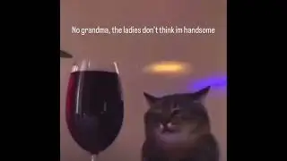 just sybau grandma #shorts #funny #memes #shortsvideo