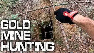 Brisbane Gold Mine Hunting