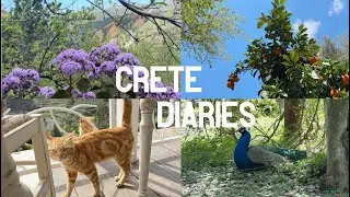 Botanical Park & Garden of Crete 🌺 | What to do in Crete | No talking vlog | Chania Greece