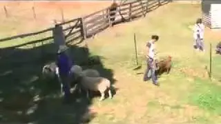 Katie & Bella 1.mov
