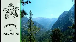 Hike in Samaria Gorge, Crete & The Walking Wounded